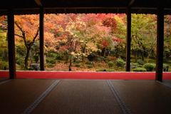 圓光寺の紅葉