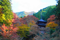 高源寺