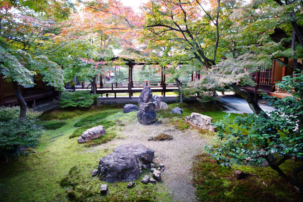 建仁寺潮音庭