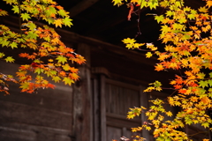 大国寺紅葉３