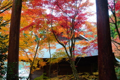 大国寺本堂
