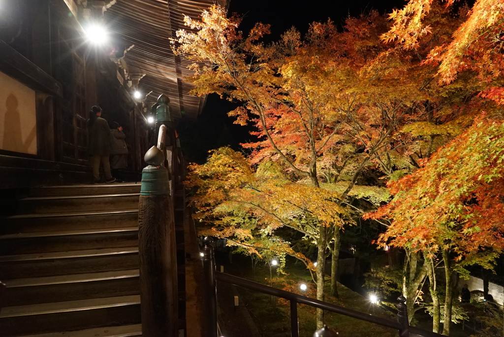 播州清水寺２