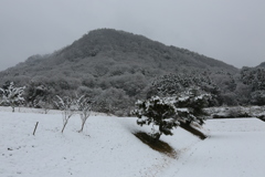 雪景色