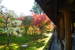 東福寺