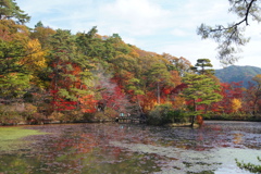 神戸の秋