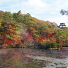 神戸の秋