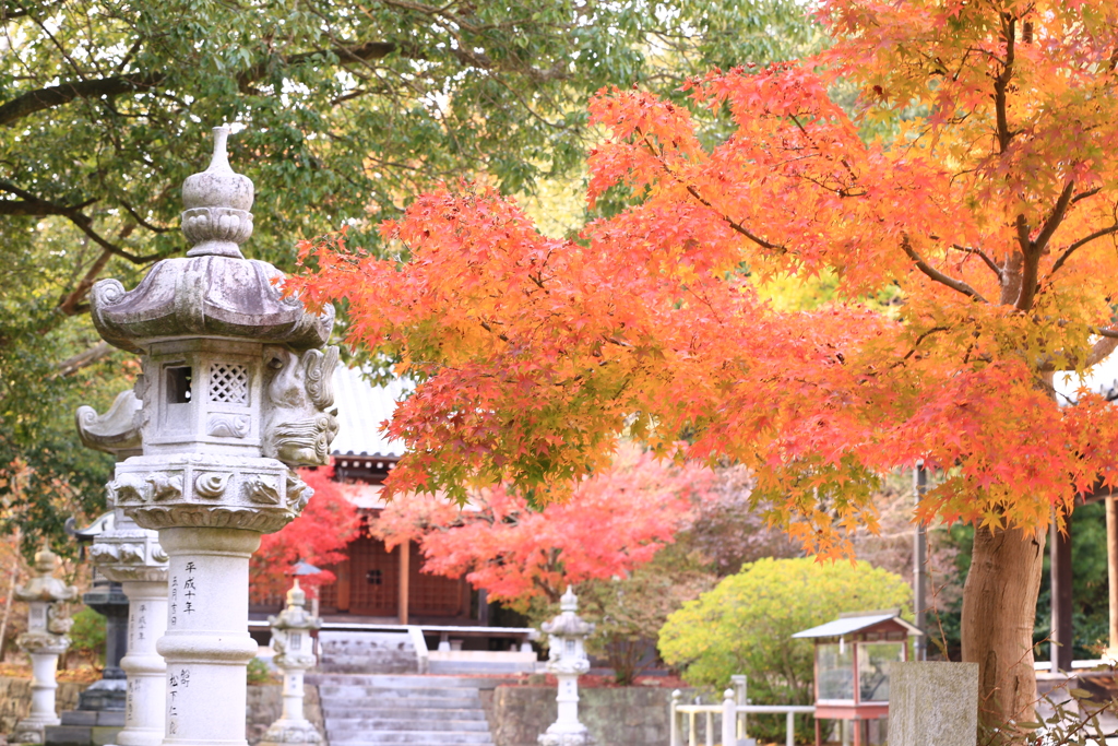 静かな寺院