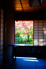 京都円徳院高台寺
