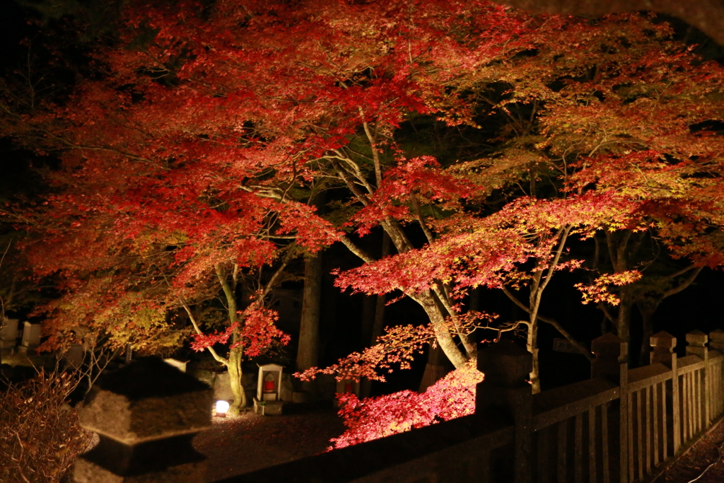 播州清水寺４