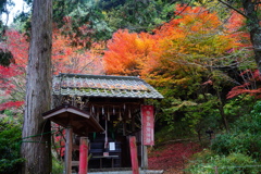 丹波大国寺