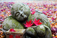 大国寺紅葉６