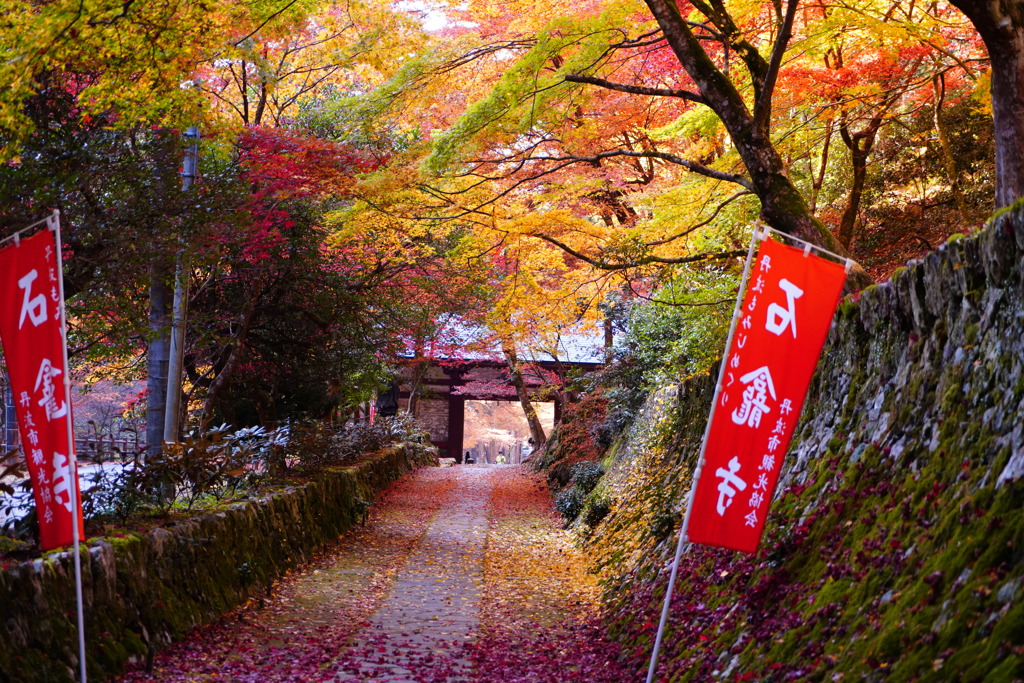 石龕寺の紅葉２