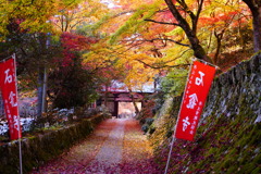 石龕寺の紅葉２