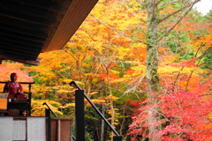 大国寺紅葉６