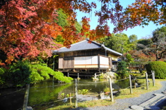 龍野公園紅葉未満