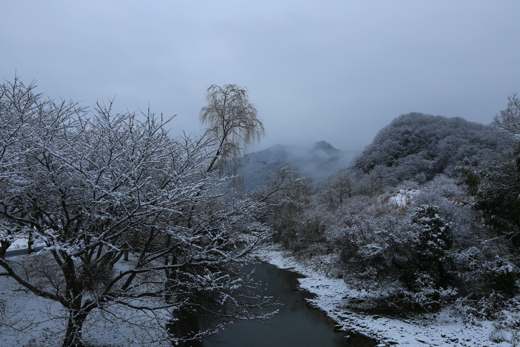 ひさしぶりの雪景色