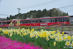 花嫁のれん号-1