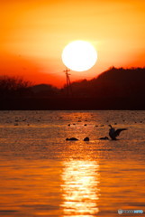 邑知潟の夕暮れ