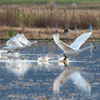 Take off