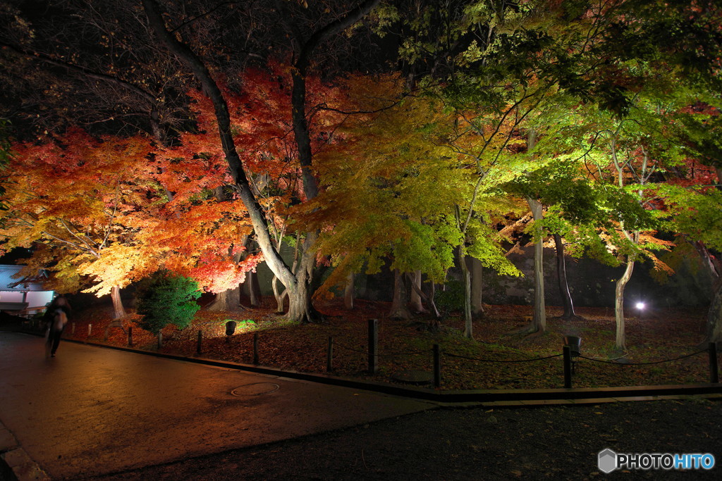 紅葉の流れ