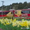花嫁のれん号-2