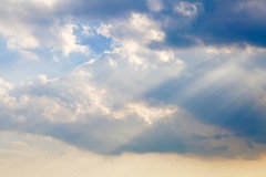 与野の空