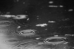 雨音