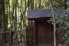 WABI　30212　2