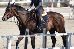 乗馬・２