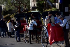 京都嵐山２０１９・１２