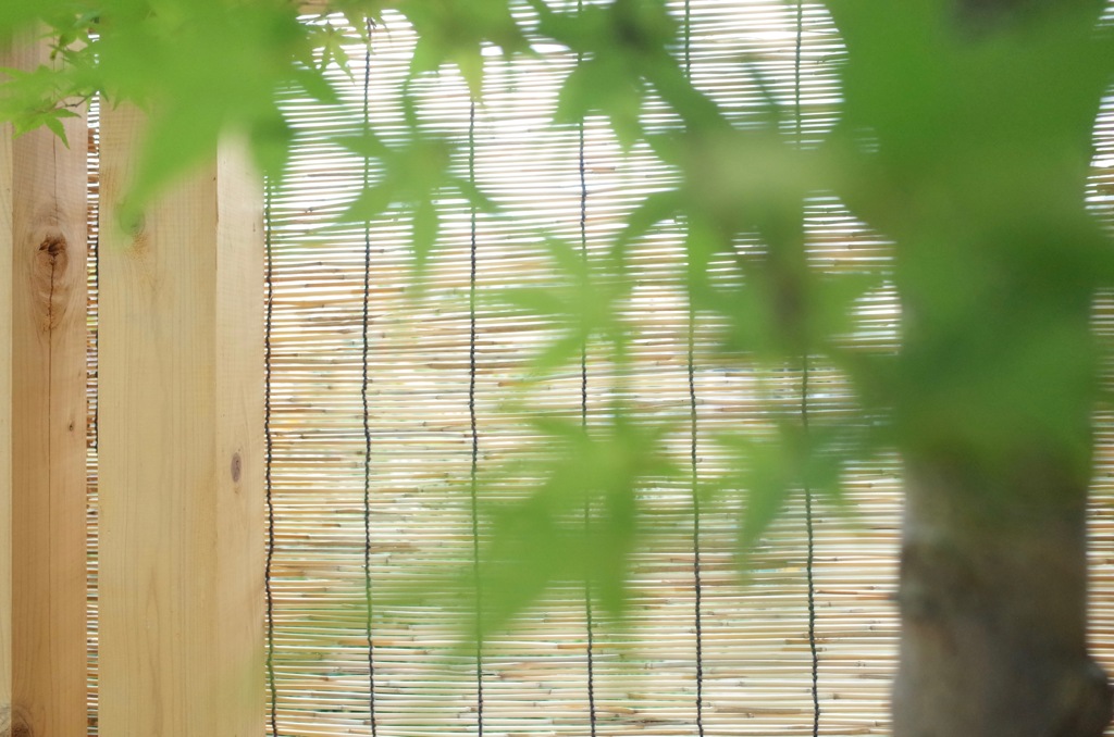 夏の香り