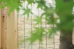 夏の香り
