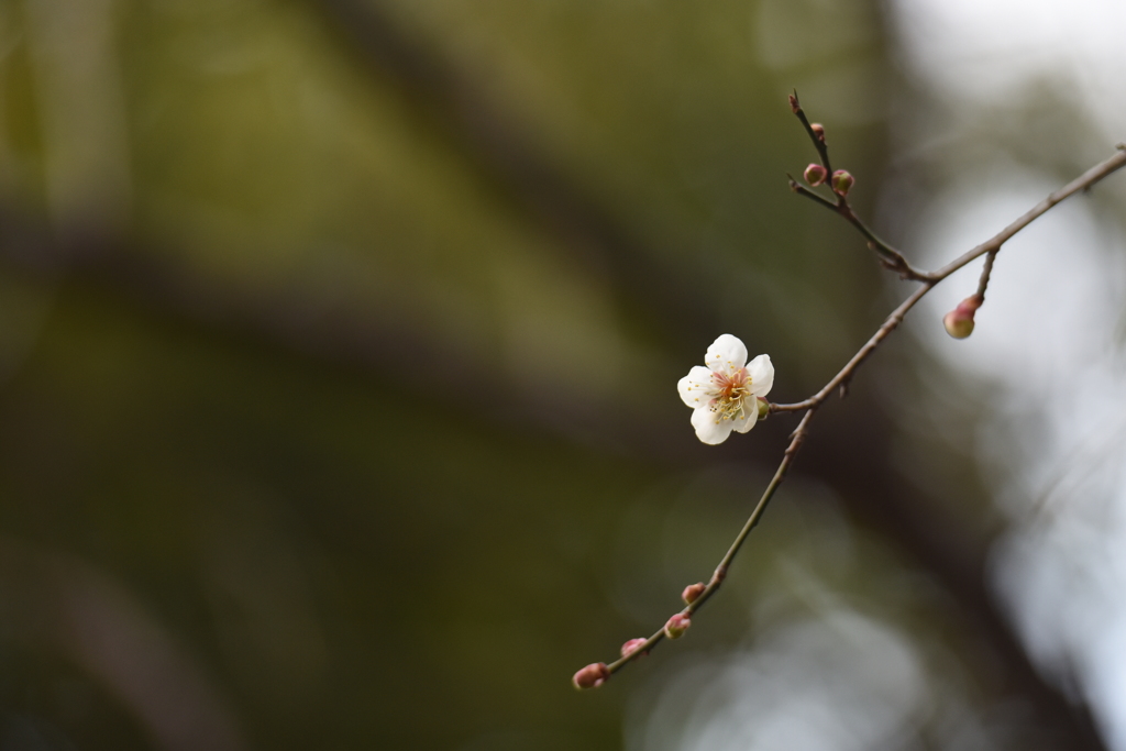 春愁