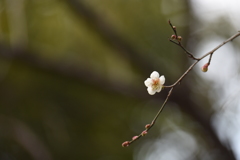 春愁