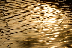 GOLDの湖面