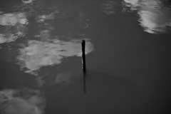 森閑