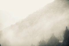山霧