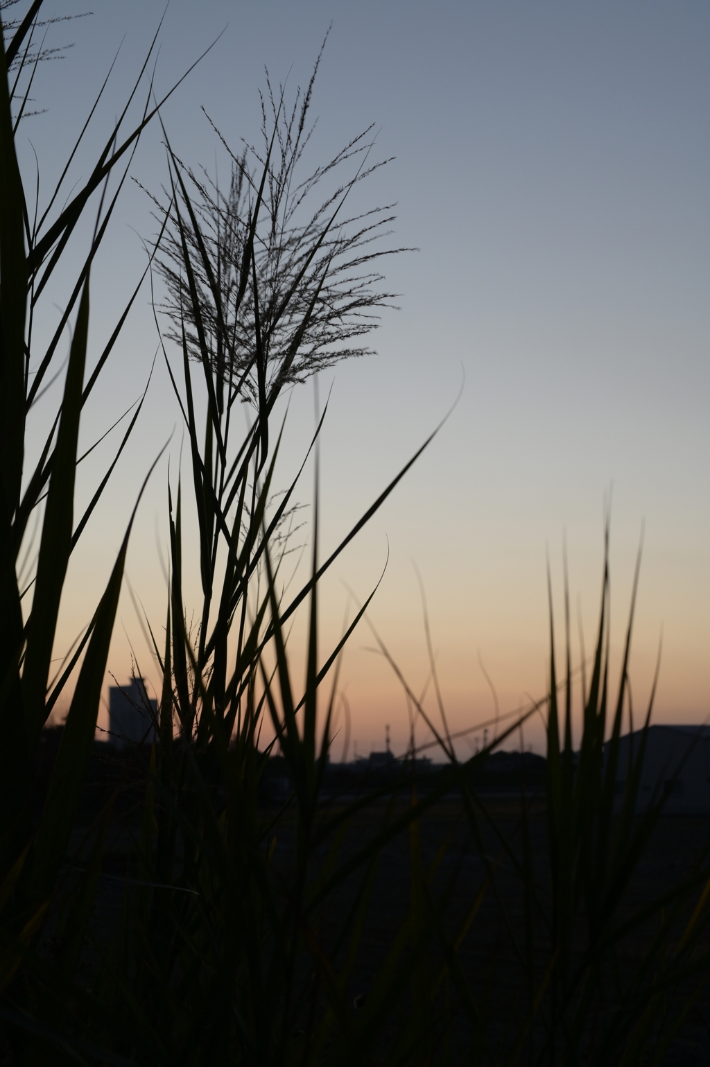 夕暮れ時
