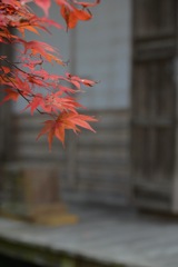 秋想う