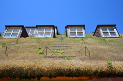 屋根