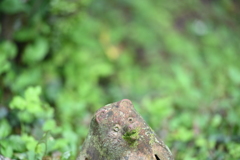 お点前頂戴いたします