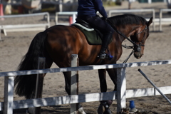 乗馬・１