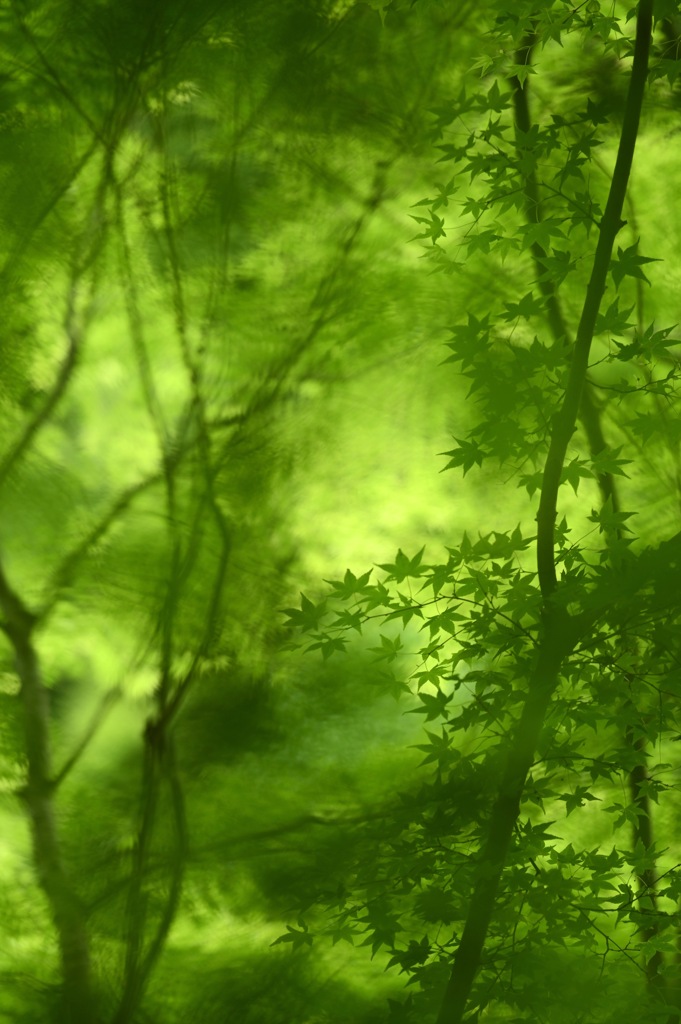 GREENの時空
