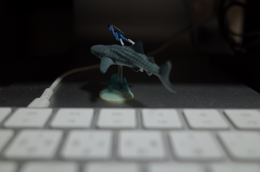 Ocean