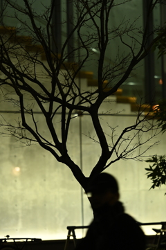 人影