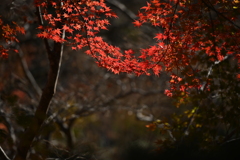 手を繋いで