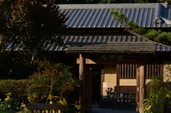 木造建築の温感　