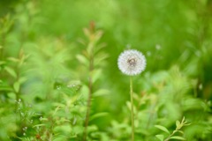 爽やかに