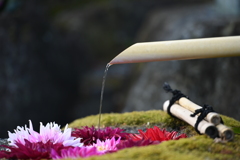 穏やかな時