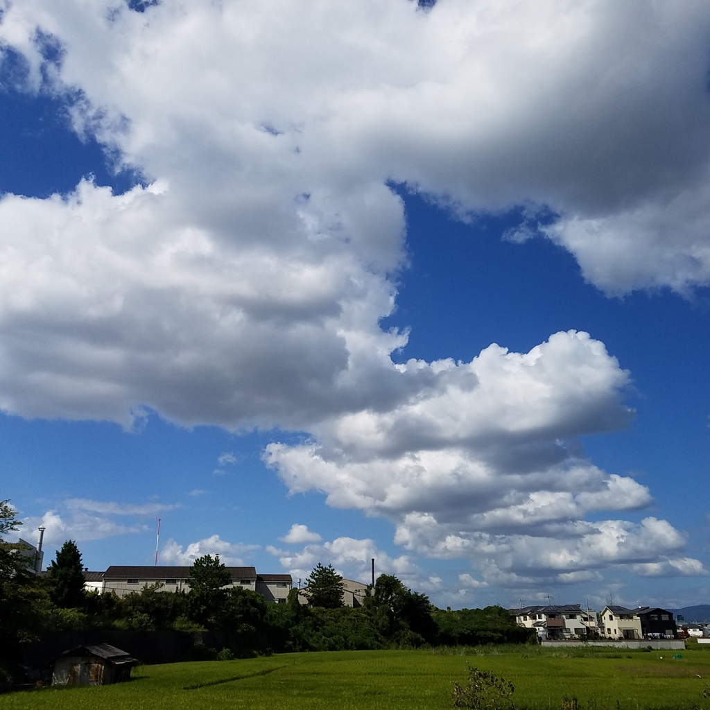 連なる綿雲